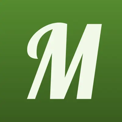 Макси